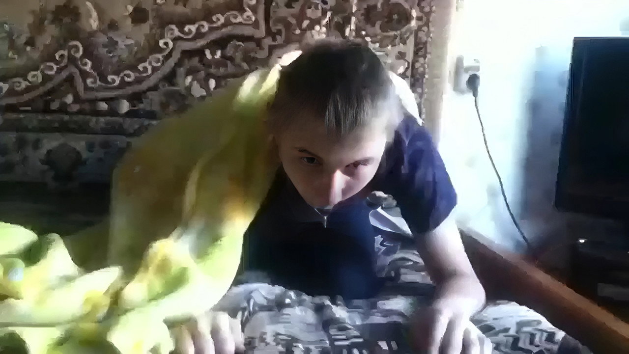 Херня