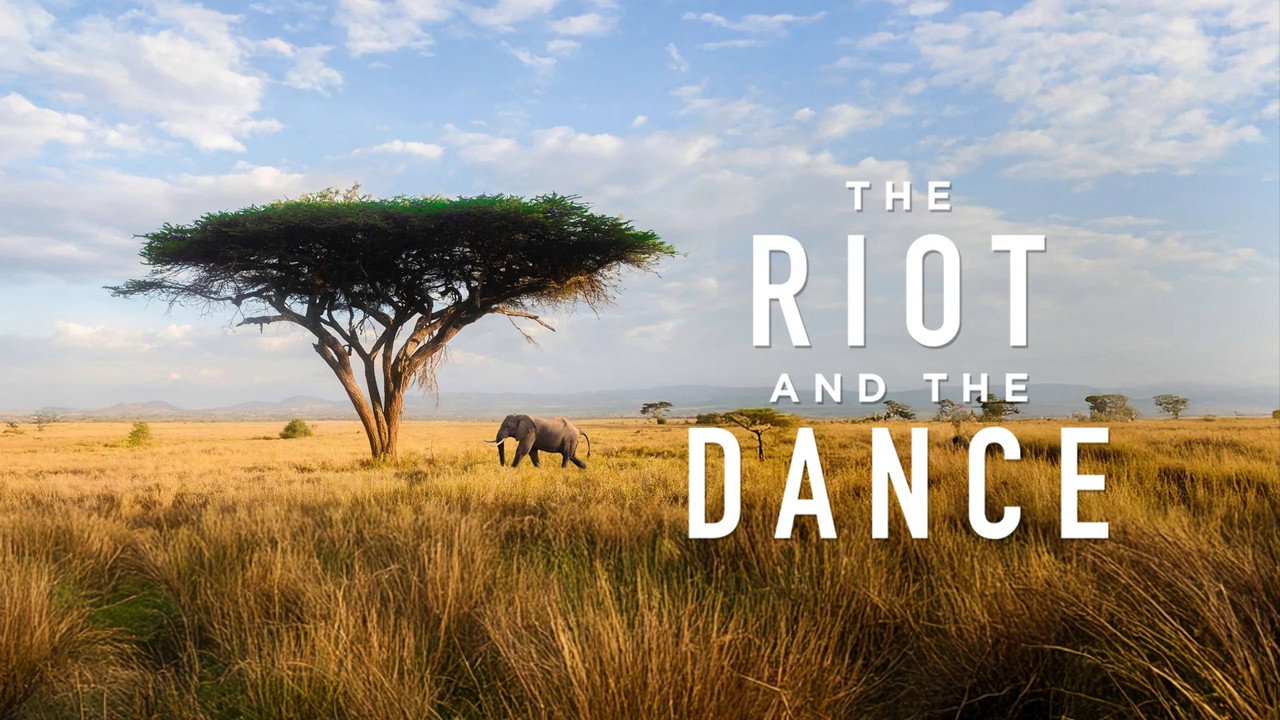 The Riot and the Dance