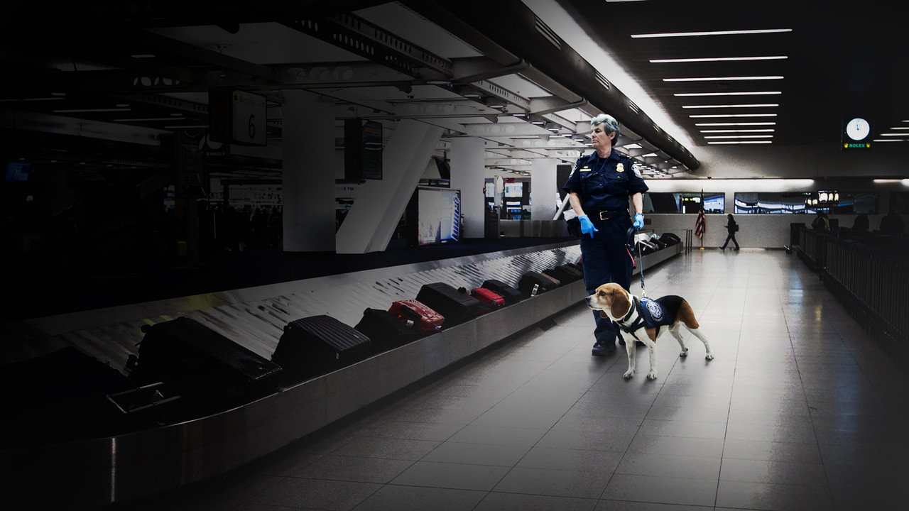 To Catch a Smuggler