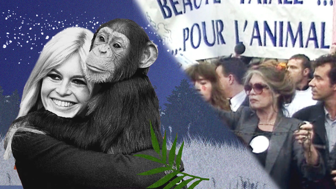 Brigitte Bardot, rebel with a cause
