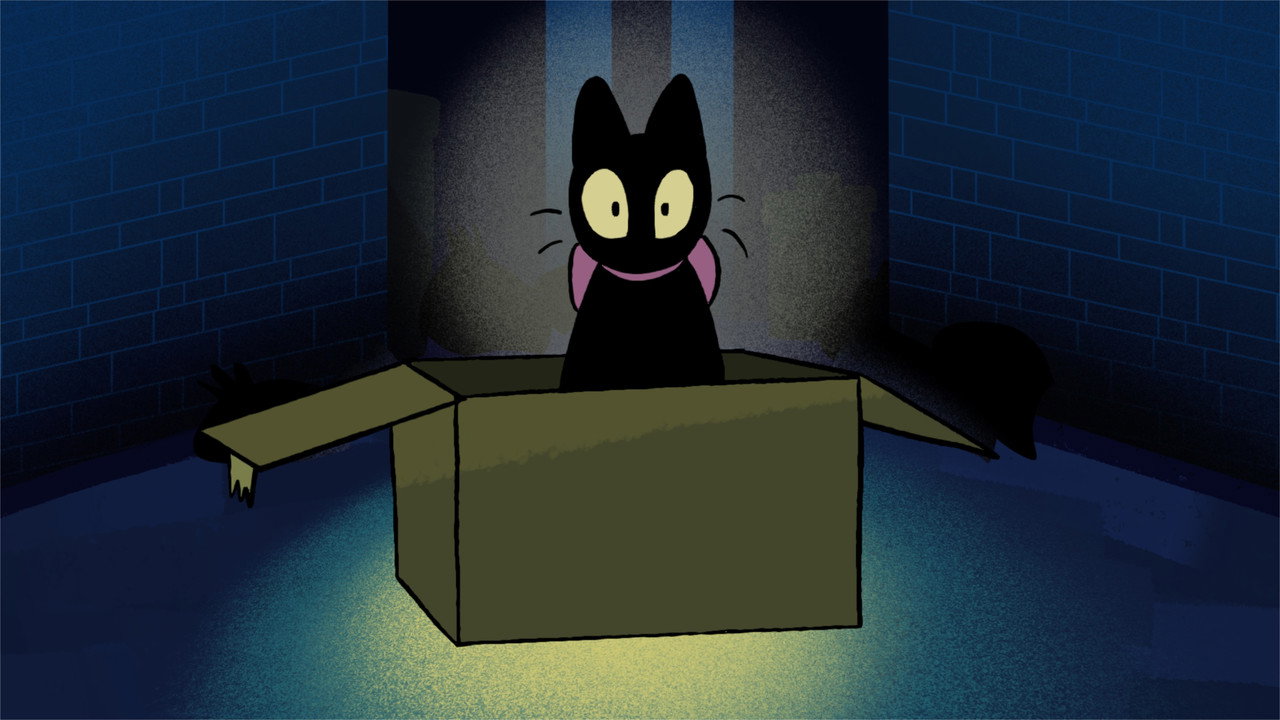 Strays