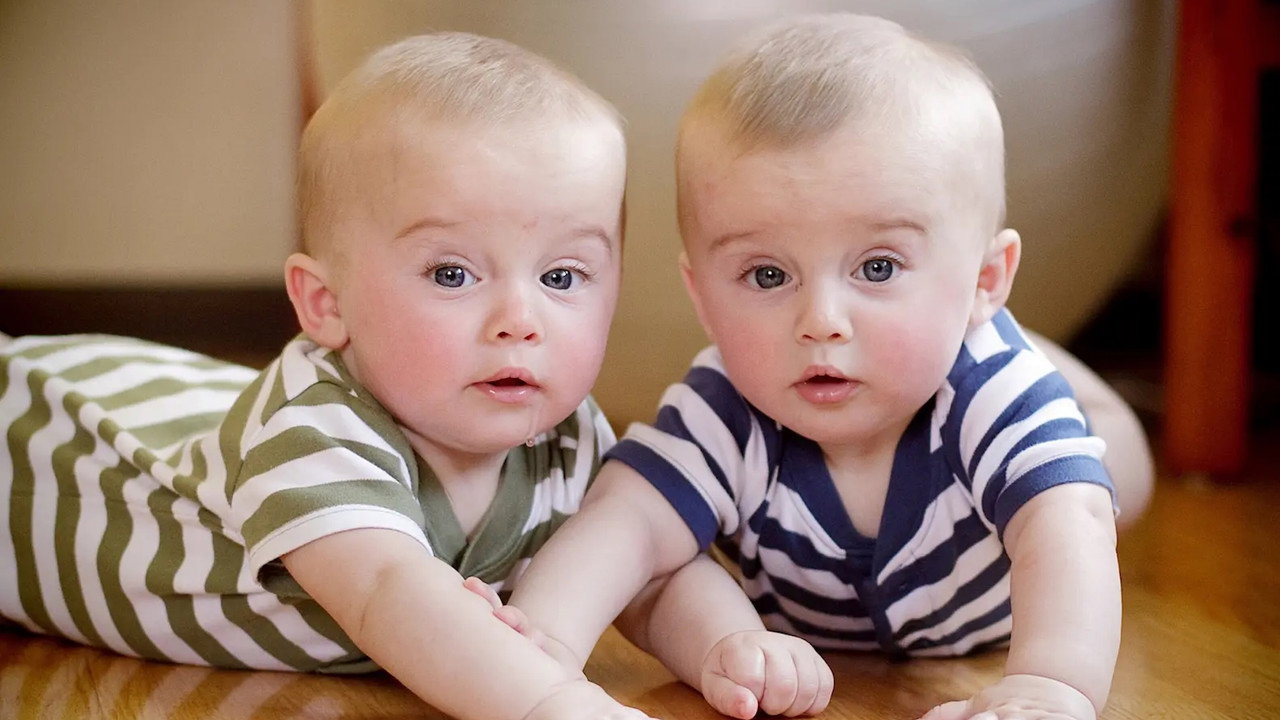 Secret Life of Twins