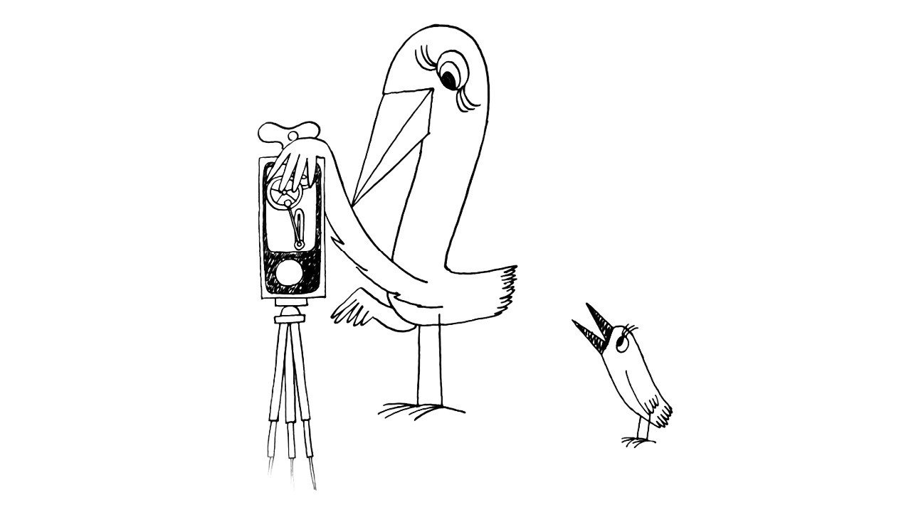 Strange Birds