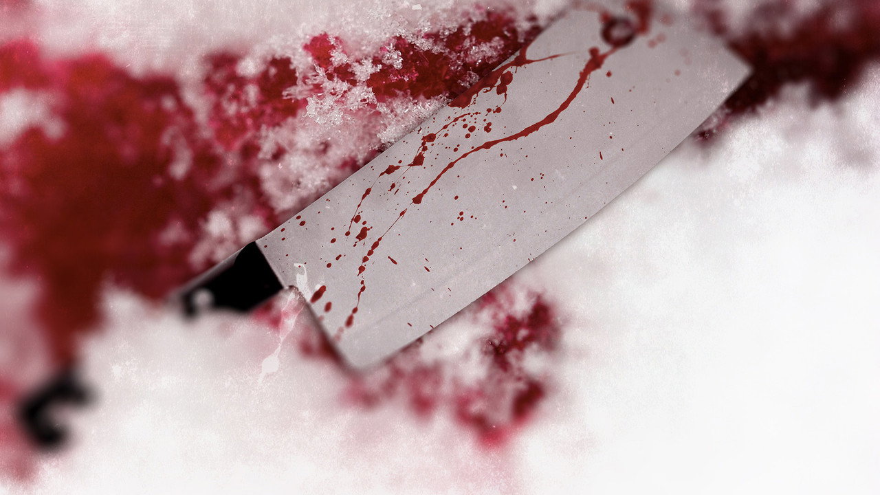 True Nordic Crimes