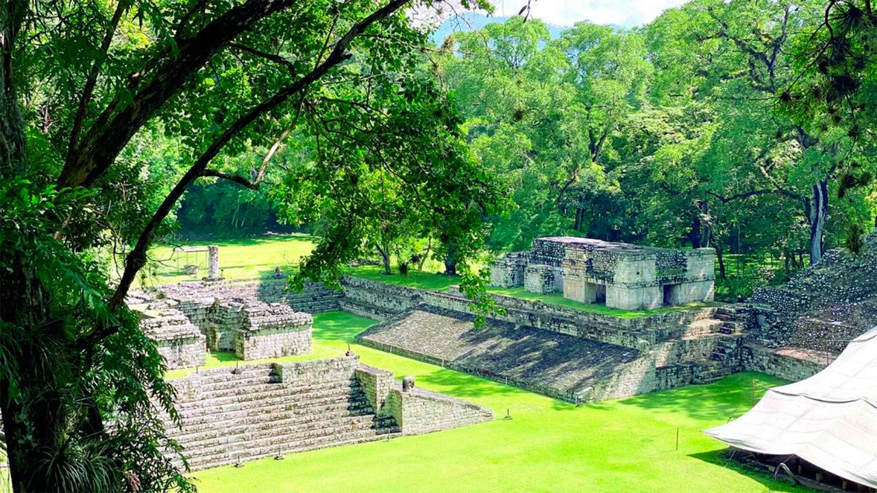 Fall Of The Maya Kings