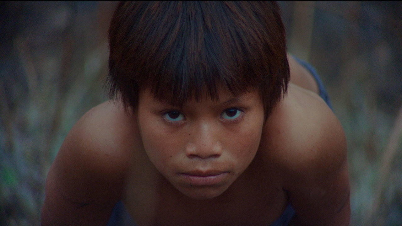 Secrets of the Tribe