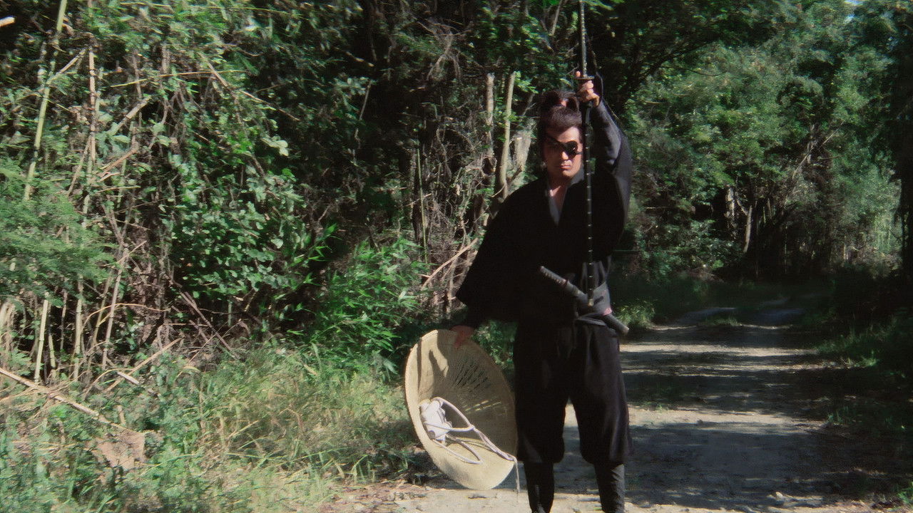 Shogun's Samurai: The Yagyu Clan Conspiracy
