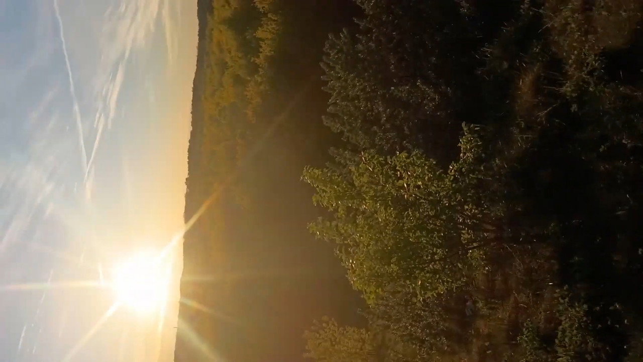 A Walk