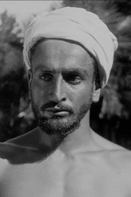 Siko Palavandishvili