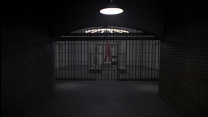 The Thin White Line