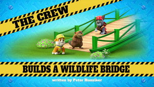 The Crew Builds a Wildlife Bridge