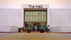 Adam Ruins Malls