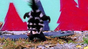 Bizarre Breeding