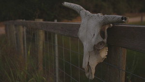 Mystery in Cuero