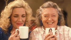 The Charity Shop