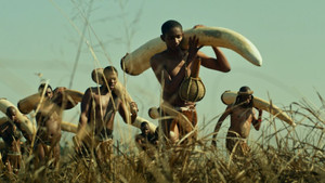 Seize Your Destiny