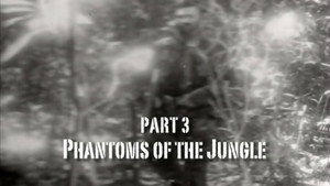 Part 3: Phantoms of the Jungle