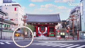 Kangaroo Friends / Asakusa