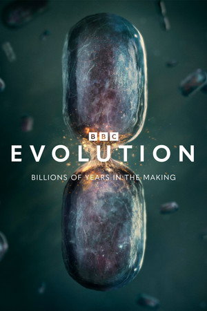 Series 1