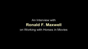 Working with Horses in Movies