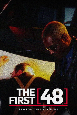 Season 29