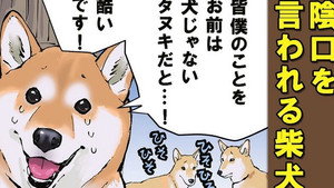 Origins / An Avant-Garde Pair / Be Your Canine Self