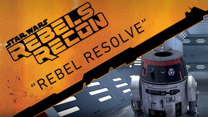 Inside "Rebel Resolve"