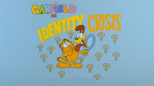 Identity Crisis