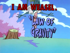 Law of Gravity