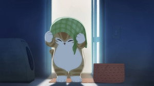 Episode 27