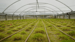What if... genomics could safeguard our food supply?