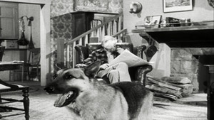 The Case of the Lazy Lover