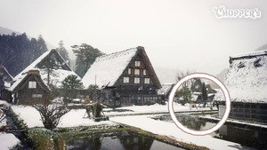 Beautifying? / Gifu