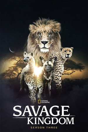 Season 3