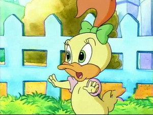 Wise Quacker