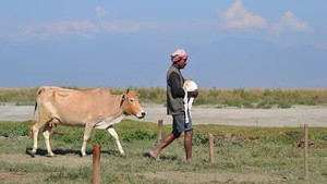 India's Realm of Big Animals
