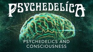 Psychedelics and Consciousness