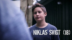 Niklas' failure