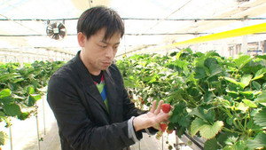 Global Branding Through Smart Farming - Hiroki Iwasa