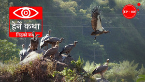 Giddha Ko Katha