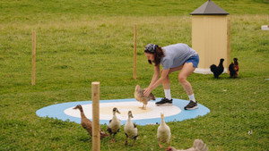More chickens and French opening