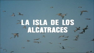 The Island of the Gannets
