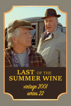 Series 22