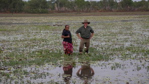 Kakadu Wetlands