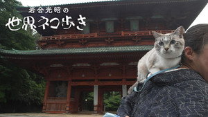 Episode 148
