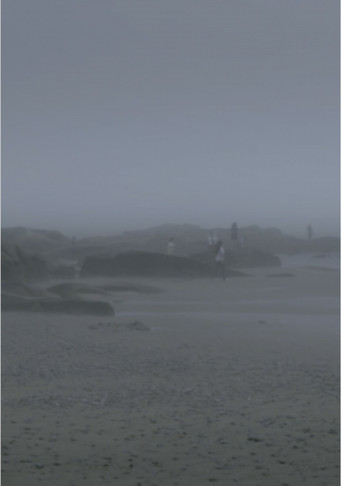 The Fog Has Covered The Moment Again