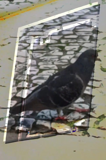 não tenho dormido muito mas continuo sonhando a cada piscada