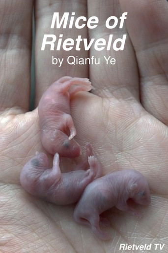 Mice of Rietveld