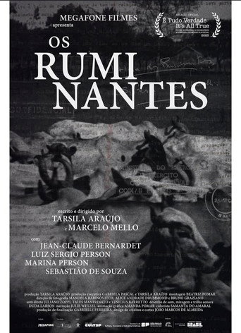 Os Ruminantes