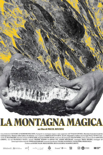 La montagna magica